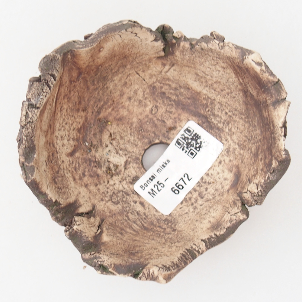 Ceramic Shell 10 x 10 x 5,5 cm , colour green