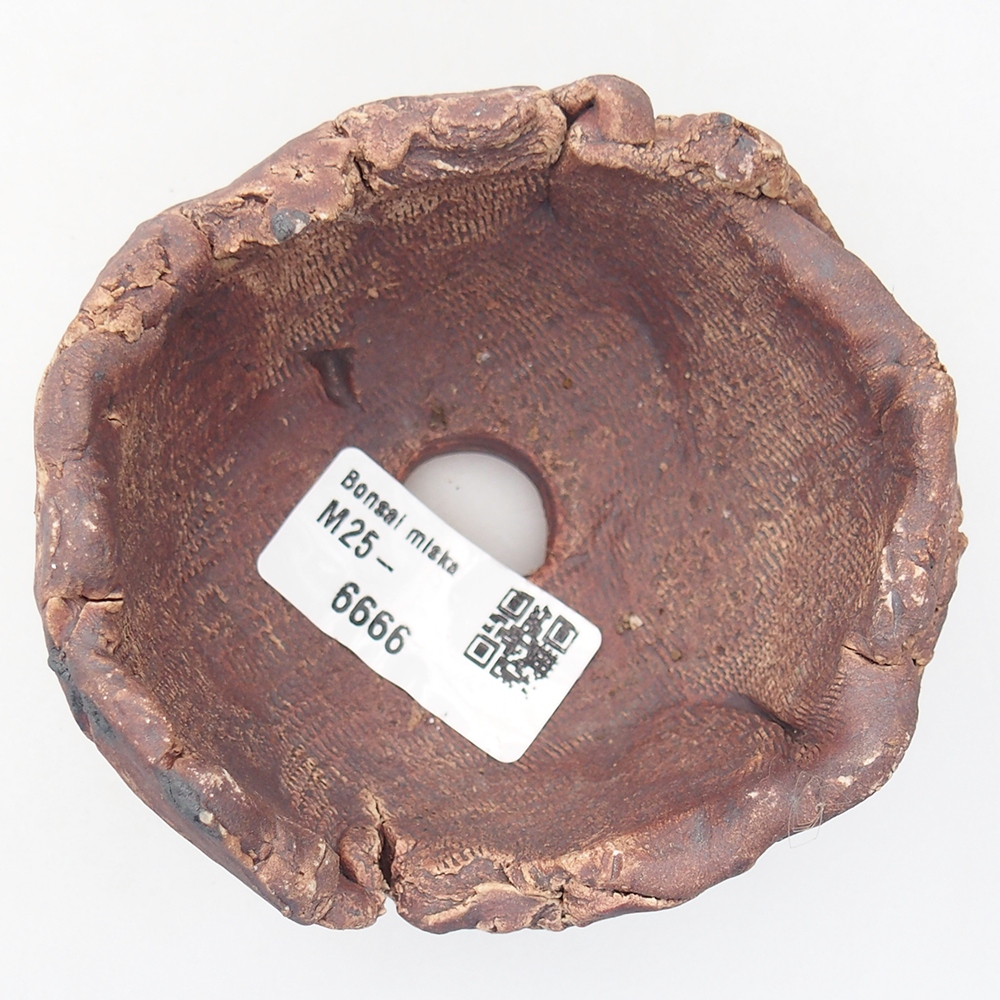 Ceramic Shell 9 x 8,5 x 6 cm , colour brown