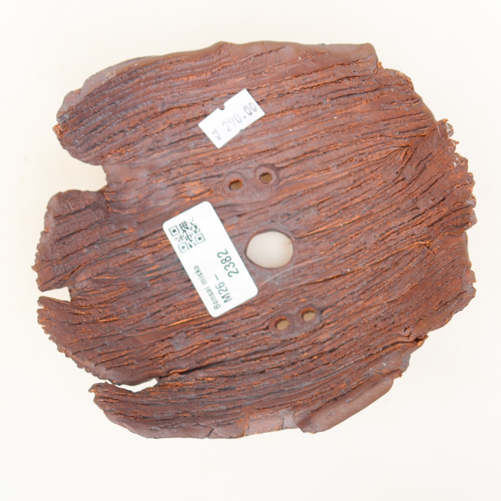 Ceramic Shell  15 x 13 x 6.5 cm, brown