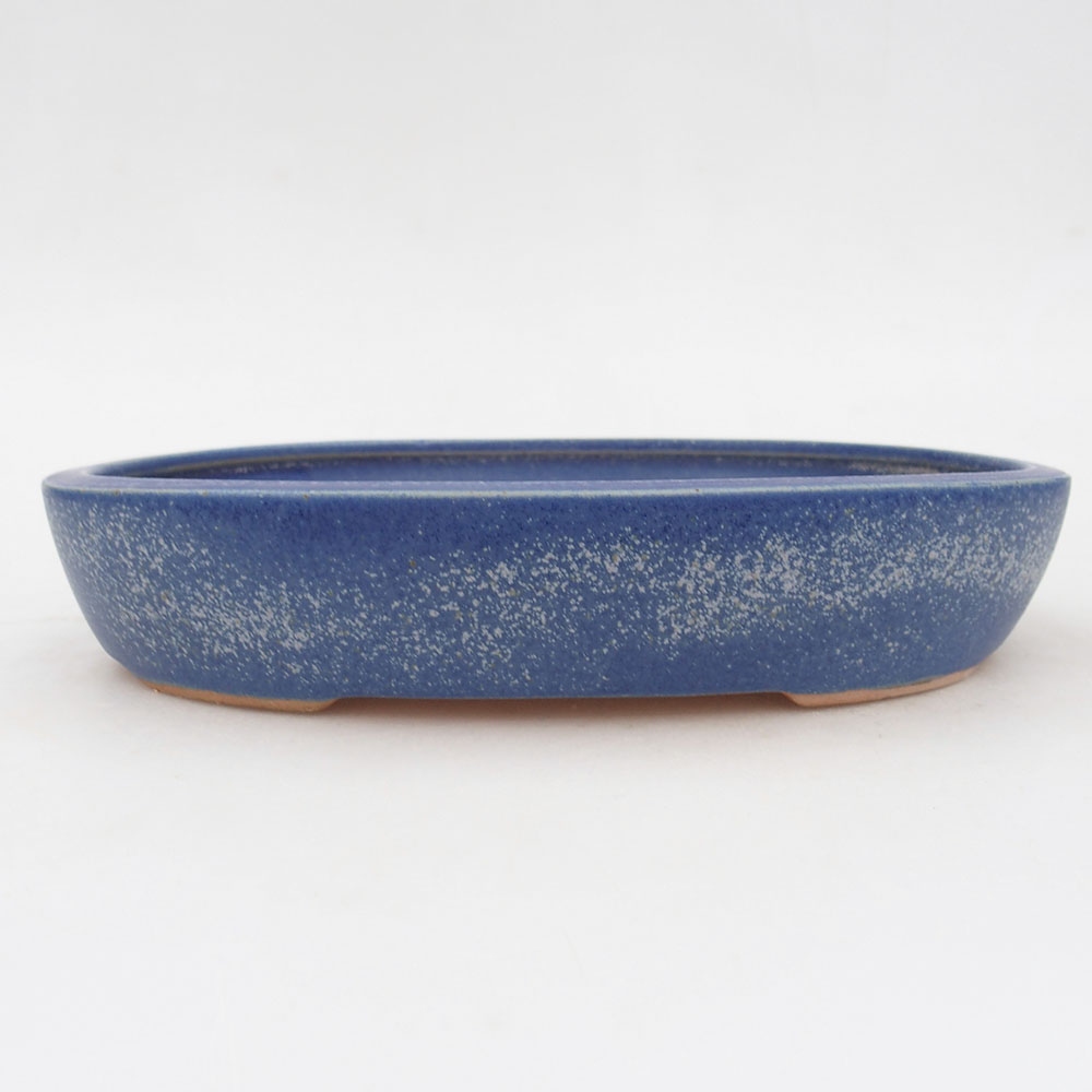 Ceramic bonsai bowl 22 x 17 x 4 cm, colour blue