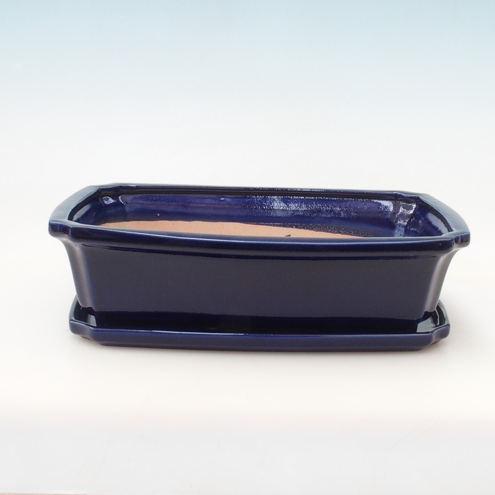 Bonsai pot + saucer H07 - 30 x 20.5 x 8 cm. - blue