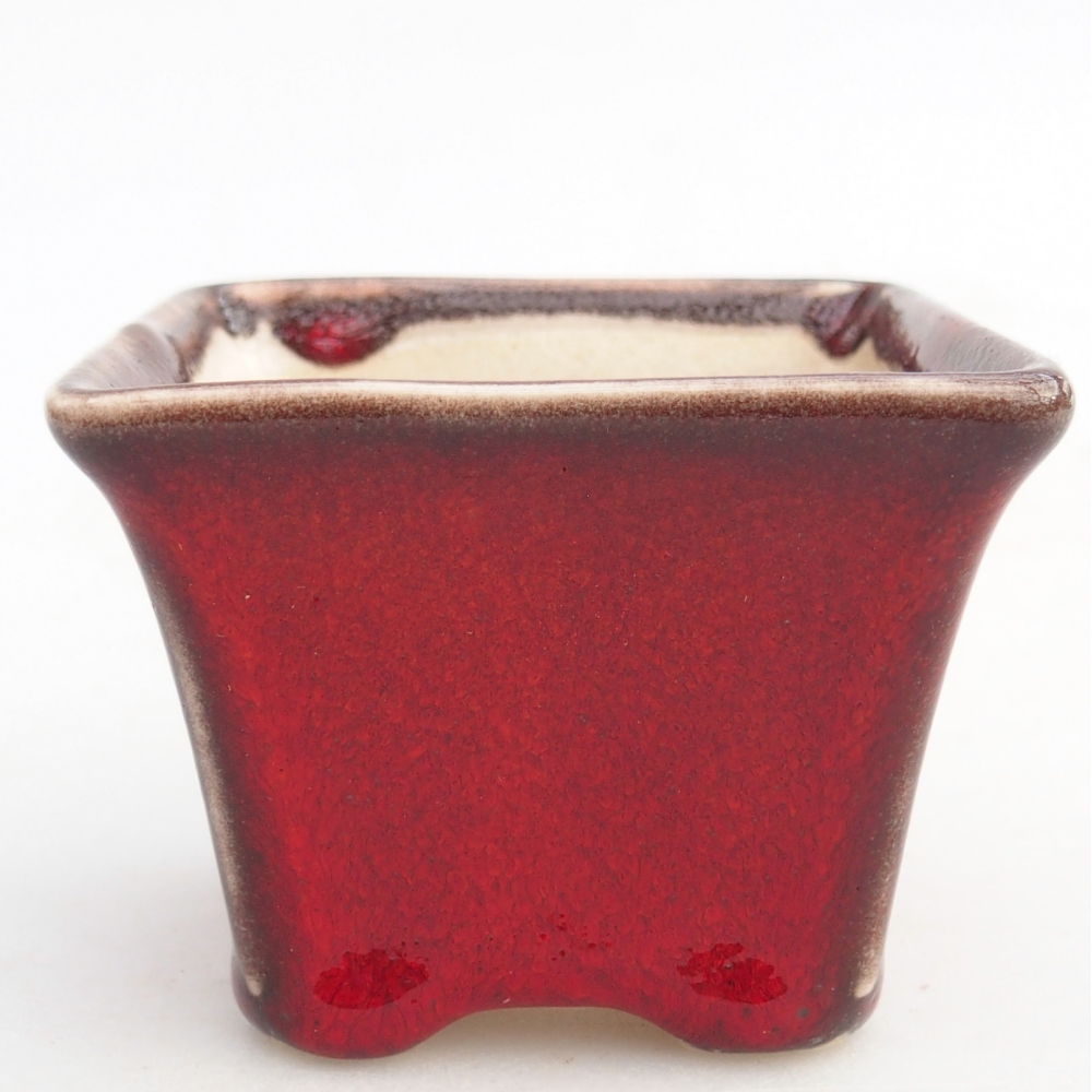 Mini bonsai bowl 6 x 6 x 5 cm, colour red