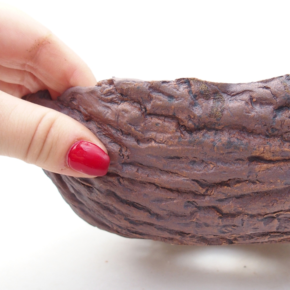 Ceramic Shell 20 x 17,5 x 7 cm , colour brown