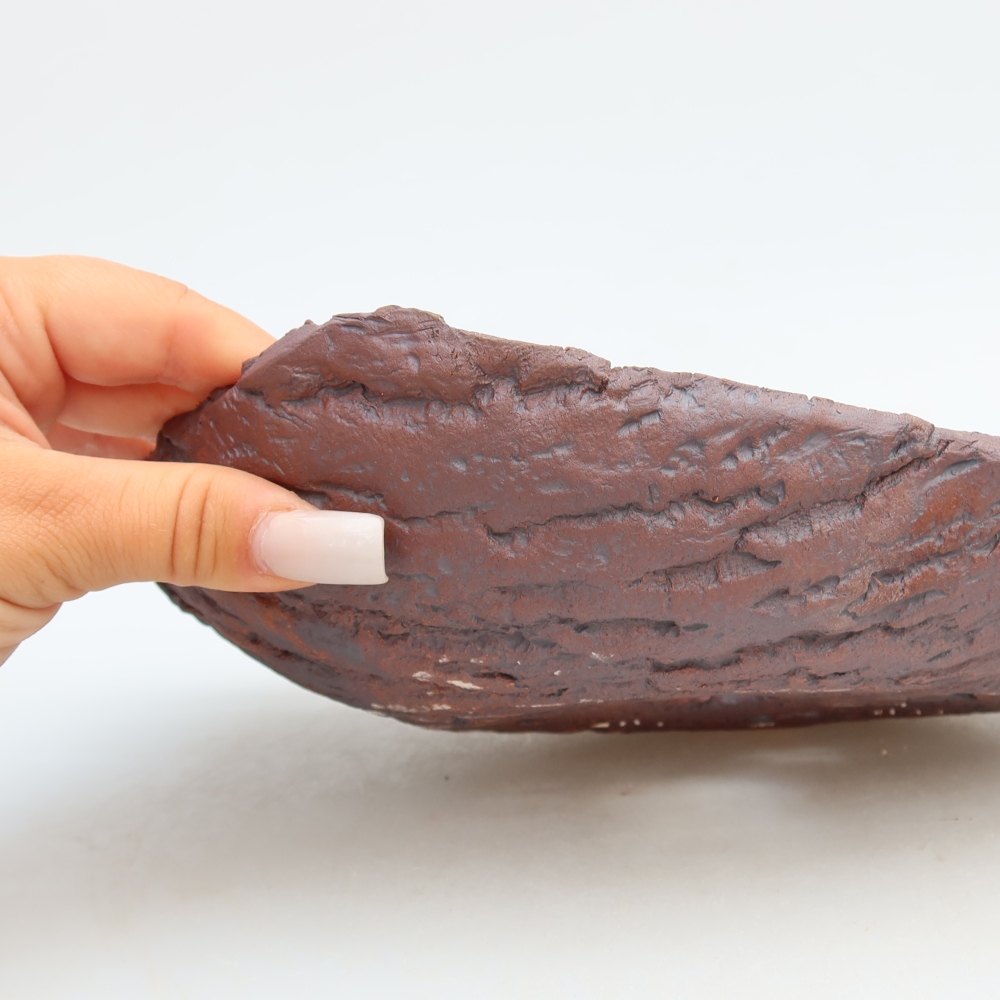 Ceramic Shell  31.5 x 19.5 x 7.5 cm, brown