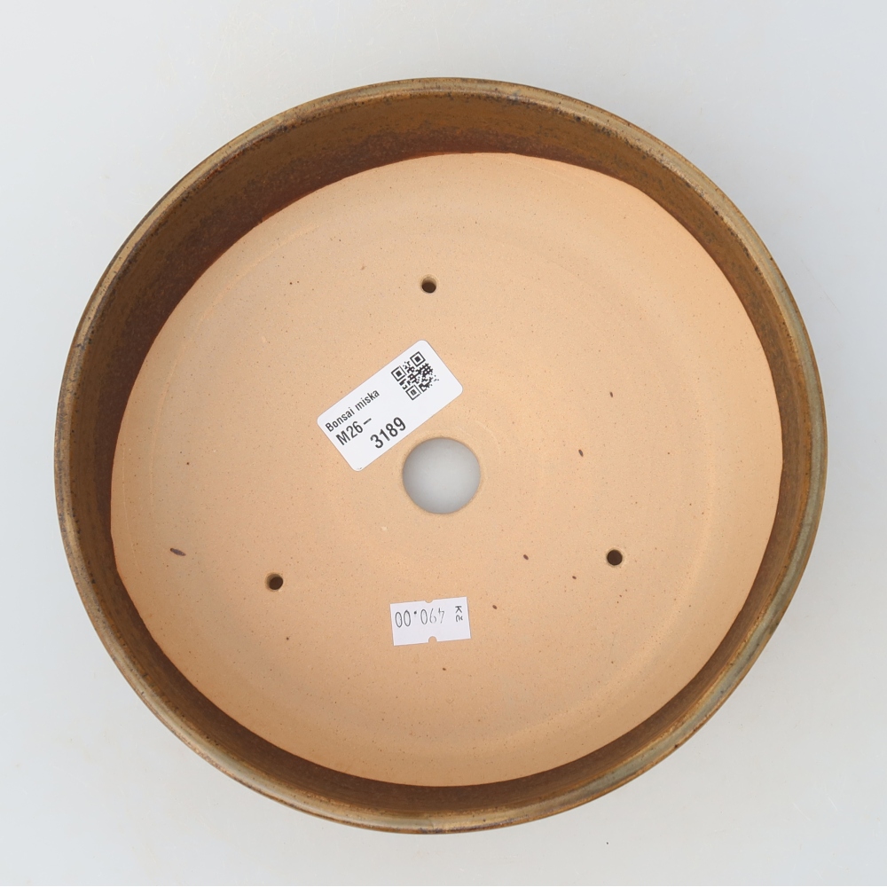 Ceramic Bonsai Pot, 19.5 x 19.5 x 6.5 cm, Brown