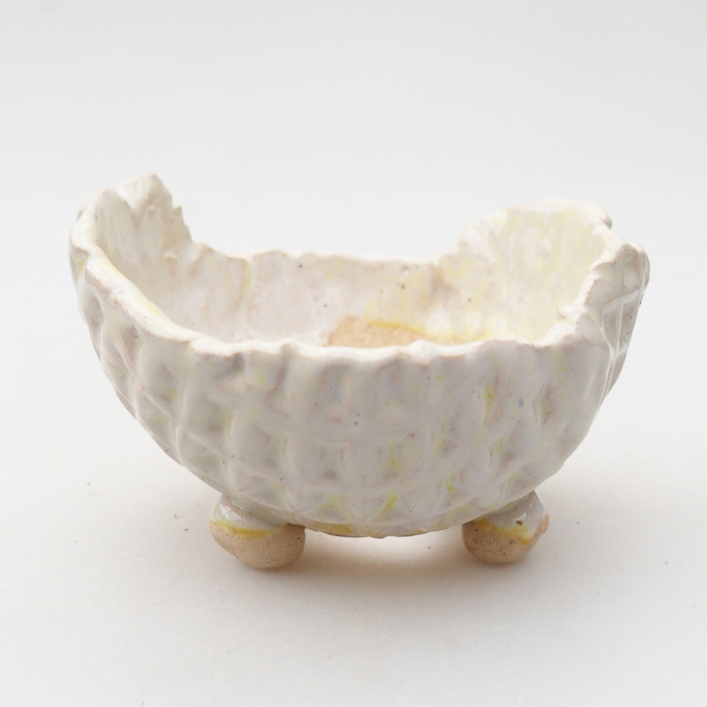 Ceramic shell 8 x 8 x 5 cm , colour green