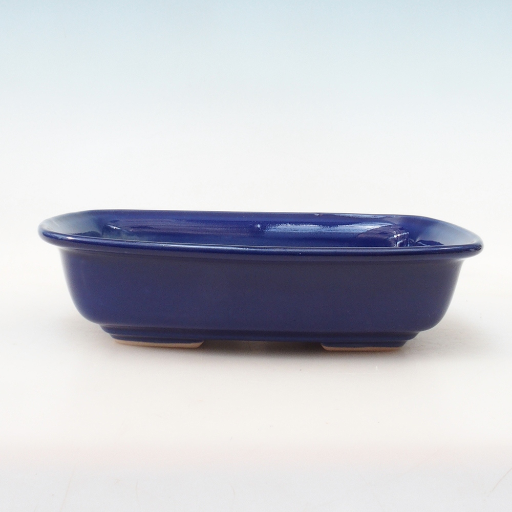 Bonsai pot + saucer H07 - 30 x 23 x 7.5 cm. - blue