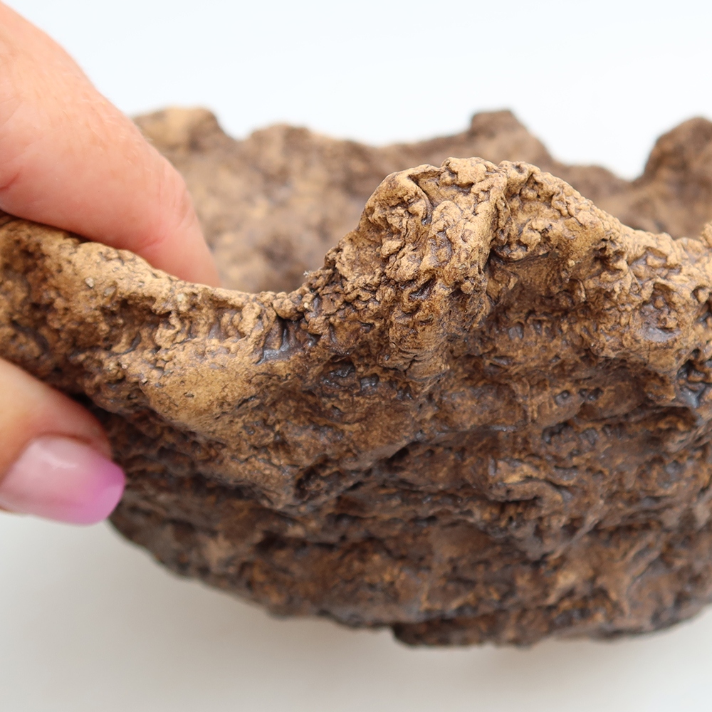 Ceramic Shell, 19.5 x 16 x 13 cm, brown