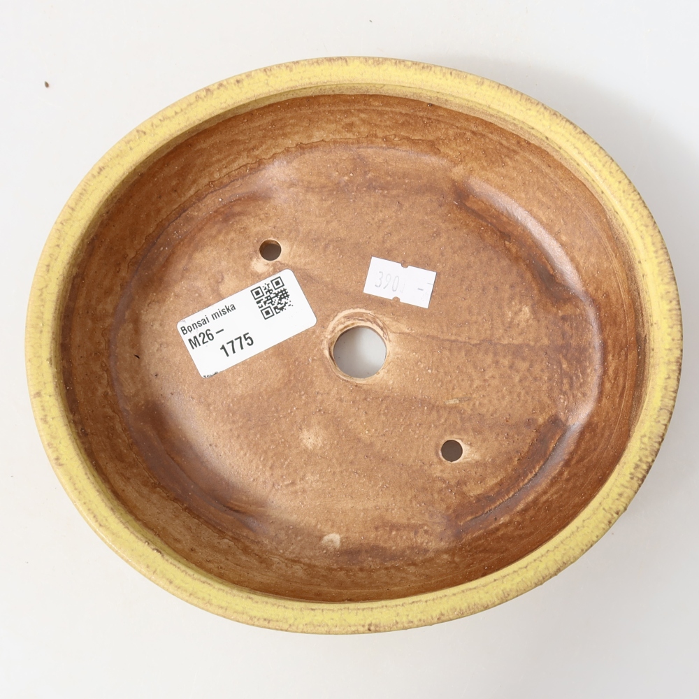 Ceramic bonsai pot, 18.5 x 16.5 x 4.5 cm, yellow