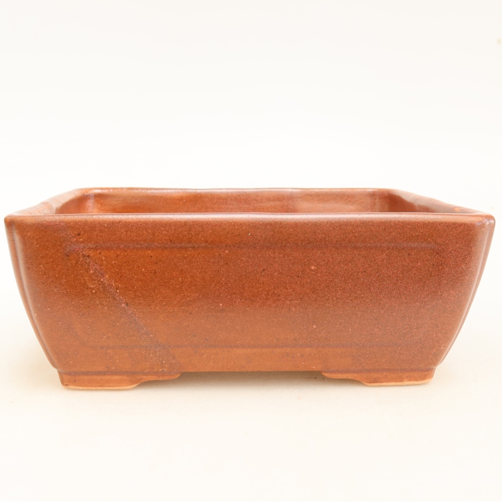 Ceramic bonsai bowl 16 x 12 x 6 cm, burgundy