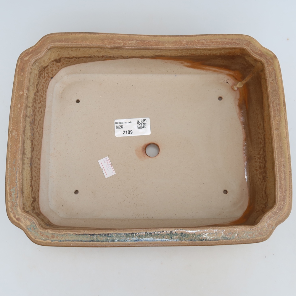 Ceramic bonsai pot, 27.5 x 21.5 x 7 cm, beige