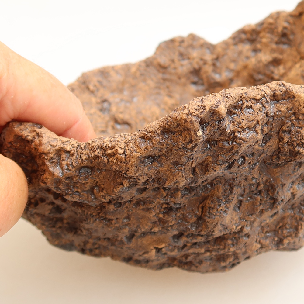 Ceramic Shell, 19 x 17 x 13 cm, brown