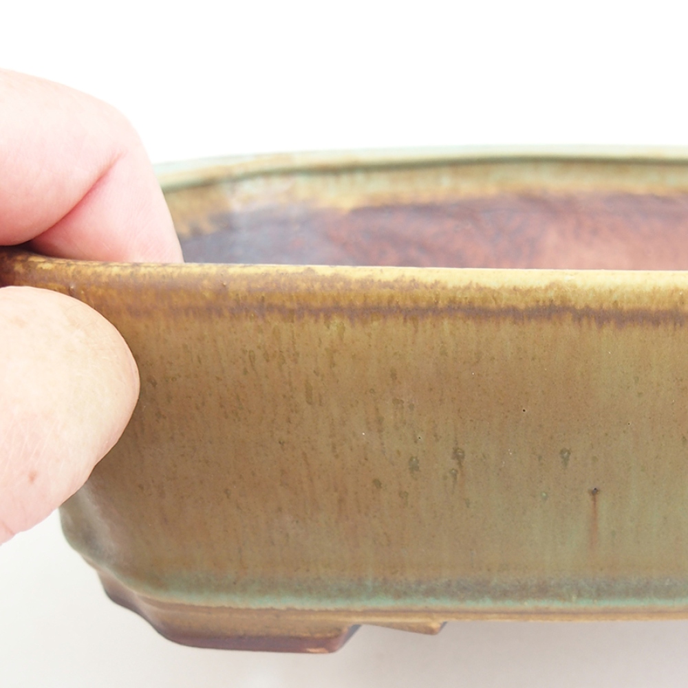 Ceramic bonsai bowl 21 x 18 x 6 cm, green
