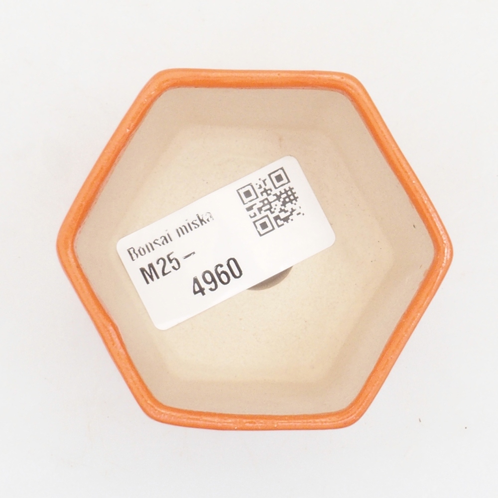 Mini bonsai bowl 6,5 x 6 x 4,5 cm, color orange