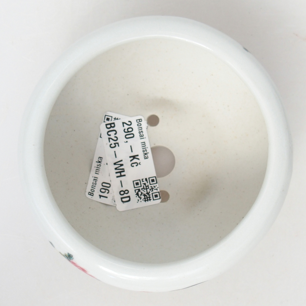 Ceramic bonsai bowl 10 x 10 x 5 cm, colour white