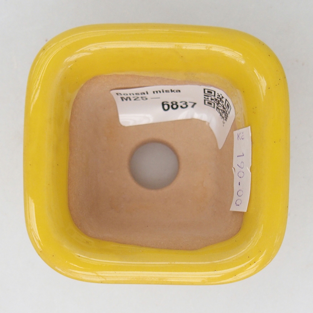 Ceramic bonsai bowl 6,5 x 6,5 x 5 cm, yellow