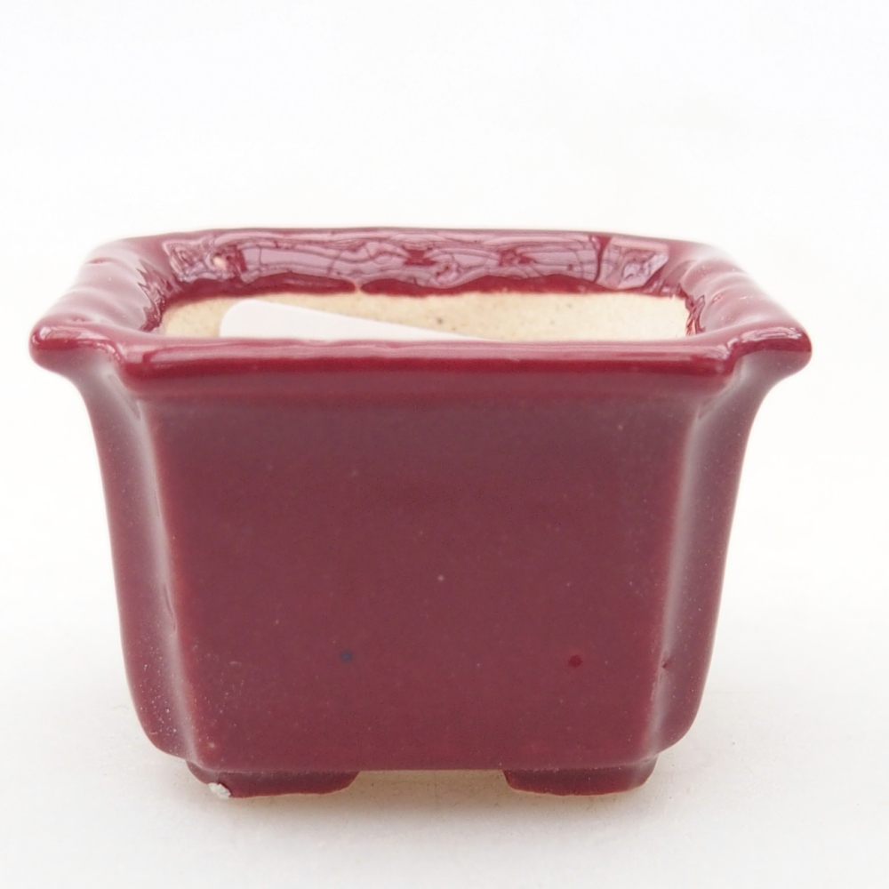 Mini bonsai bowl 3,5 x 3,5 x 2 cm, burgundy
