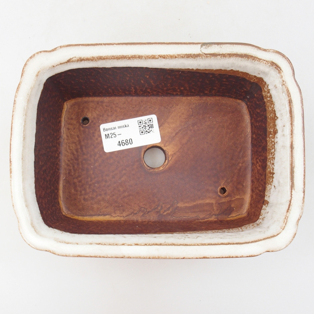 Ceramic bonsai bowl 17 x 13 x 6 cm, color white