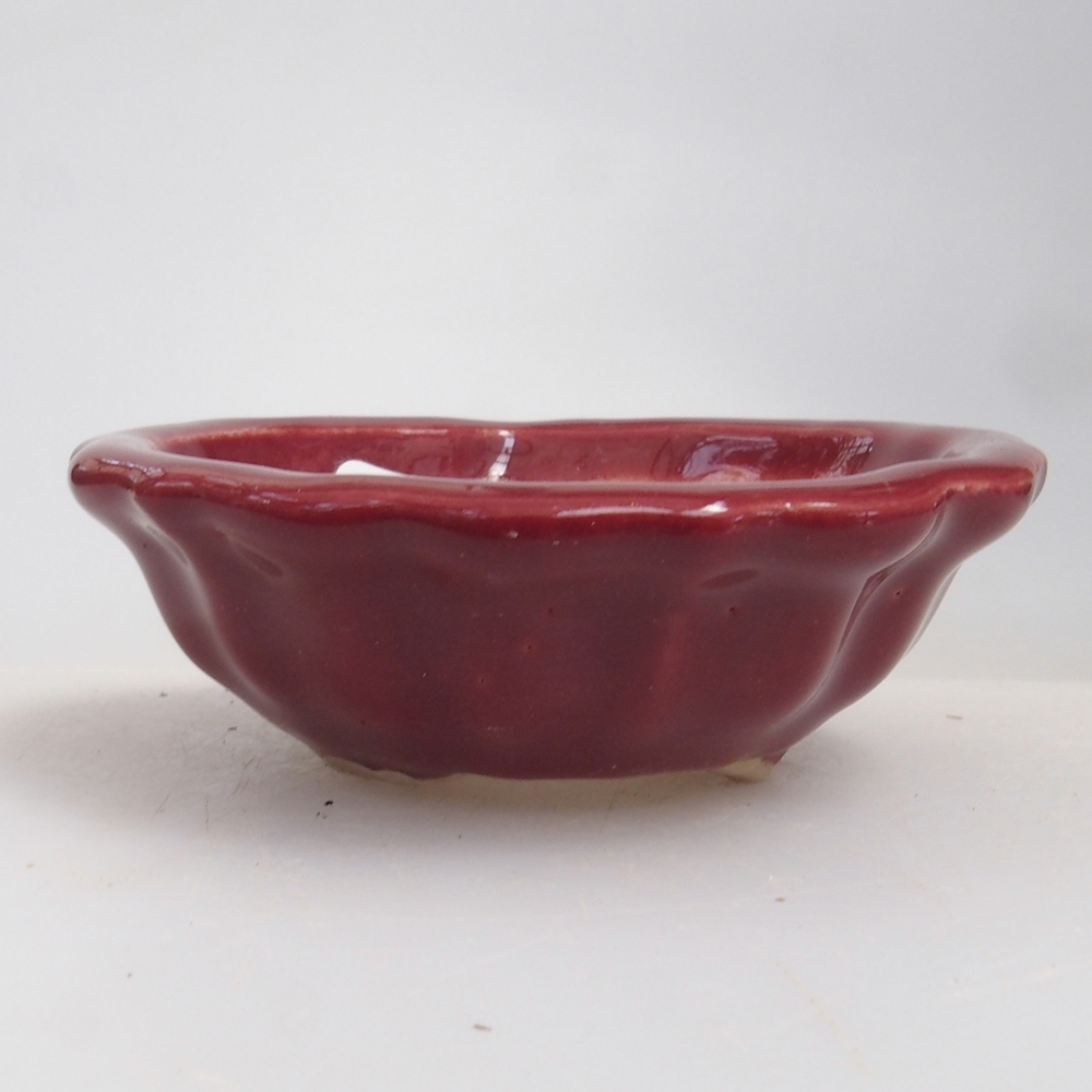 Mini bonsai bowl 5 x 5 x 1,5 cm, color burgundy