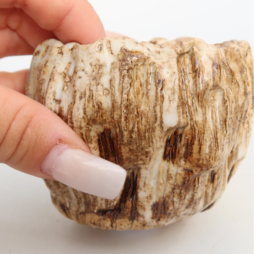 Ceramic Shell, 7.5 x 7 x 6.5 cm, white-brown