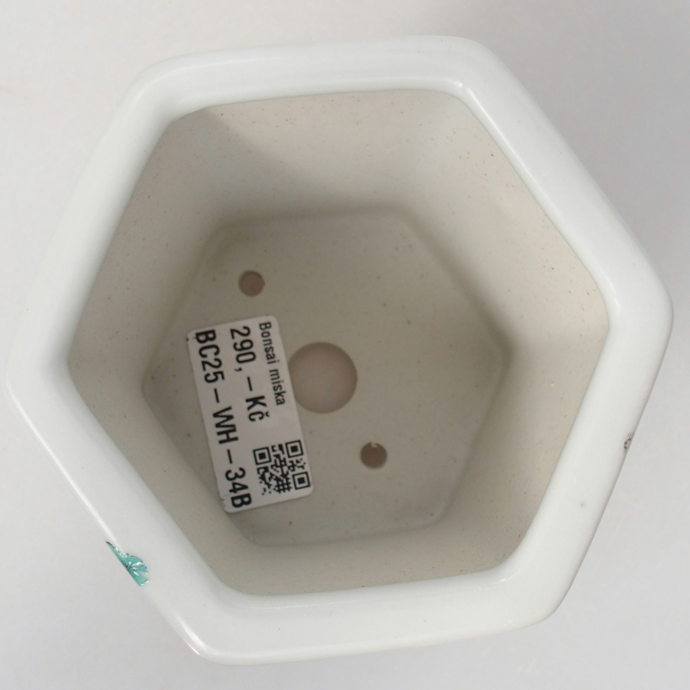 Ceramic bonsai bowl 10,5 x 9,5 x 9 cm, colour white