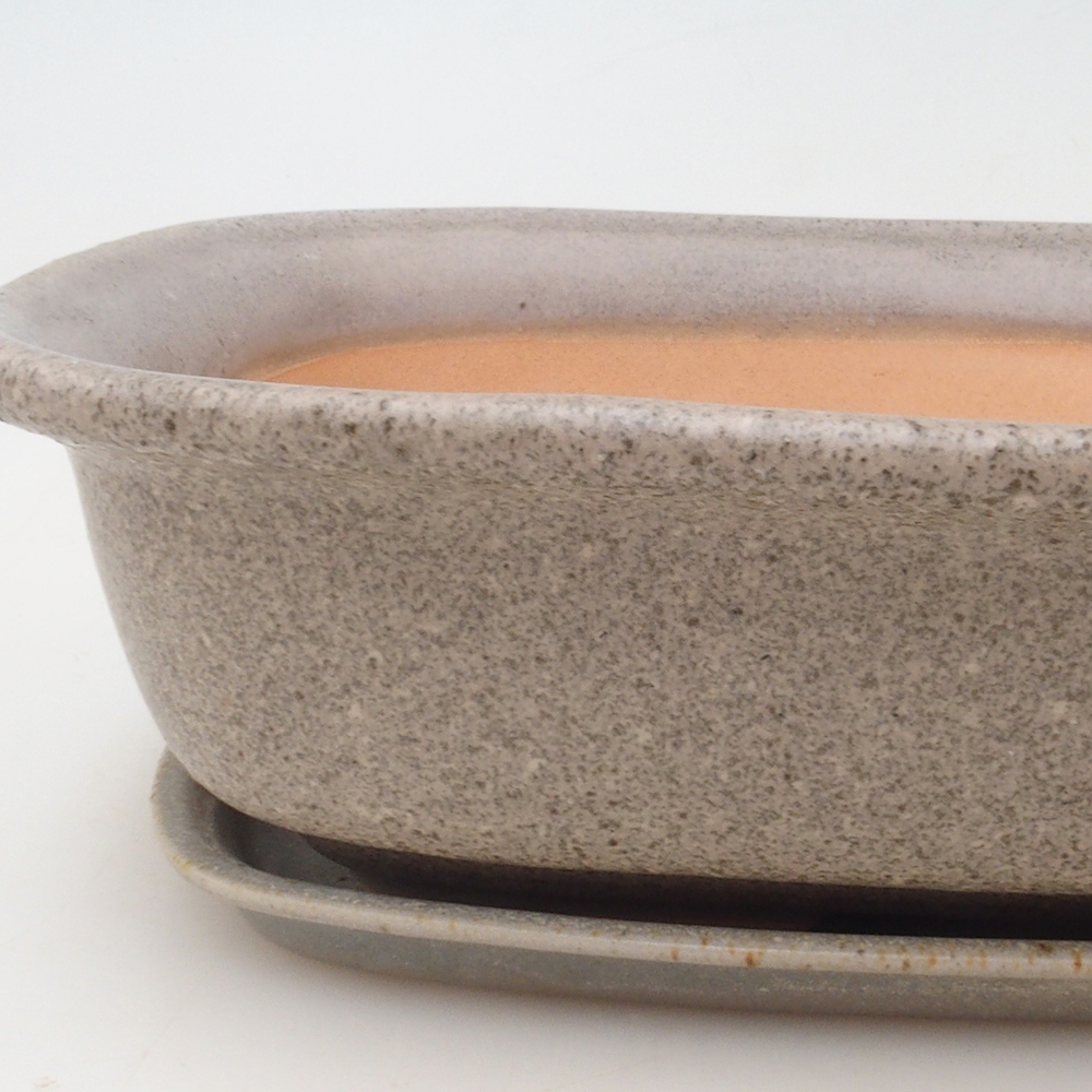Bonsai pot + saucer H09 - 30 x 23 x 7.5 cm. - beige