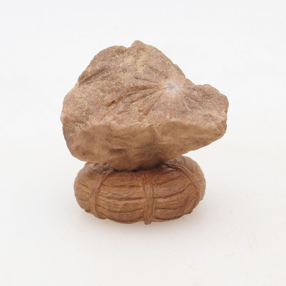 Suiseki - Stone with DAI (wooden pad)