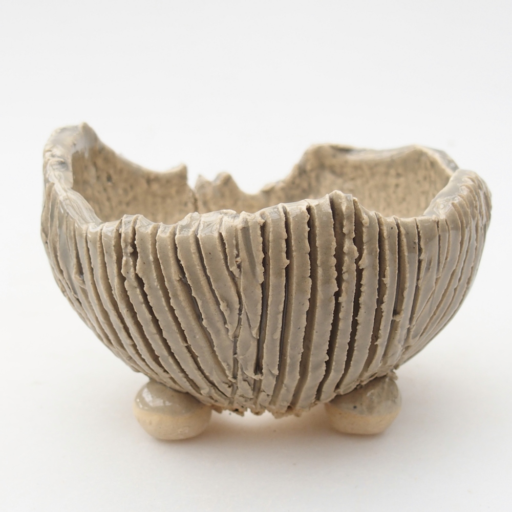 Ceramic Shell 9 x 8 x 6 cm , colour beige