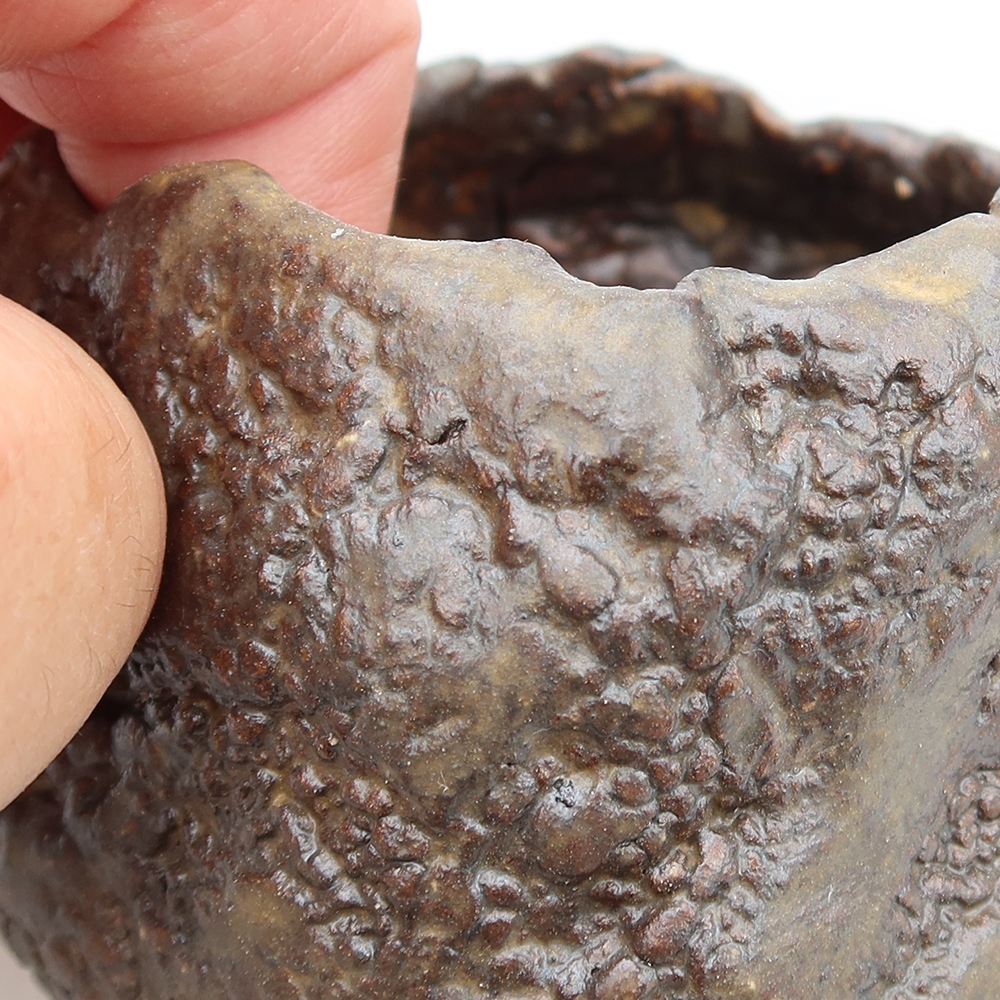 Ceramic Shell, 5.5 x 5.5 x 5 cm, brown