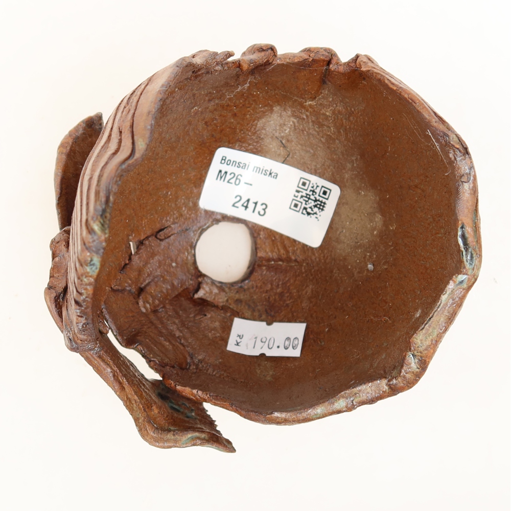 Ceramic Shell  11 x 9 x 10.5 cm, brown
