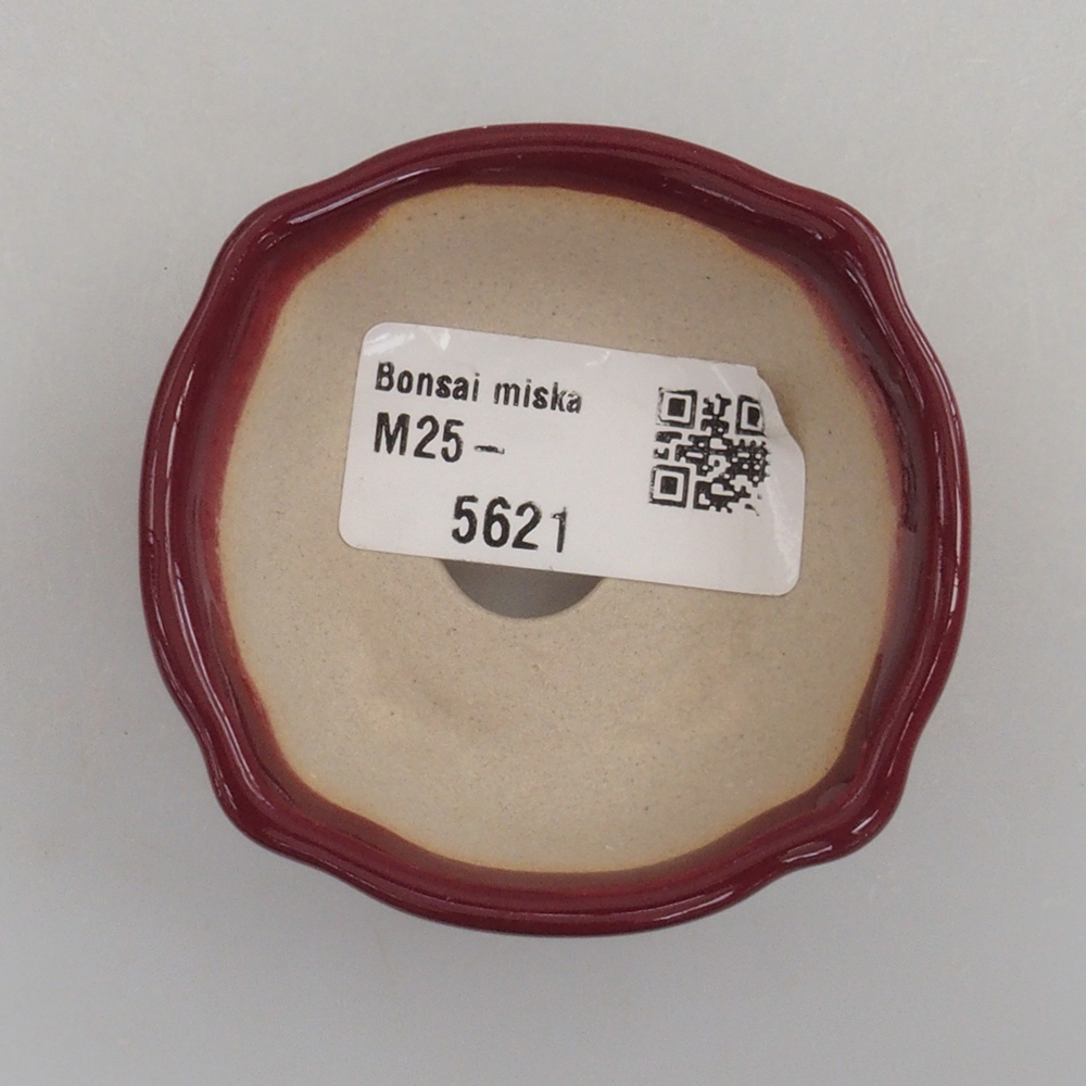 Mini bonsai bowl 6 x 6 x 2,5 cm, color burgundy