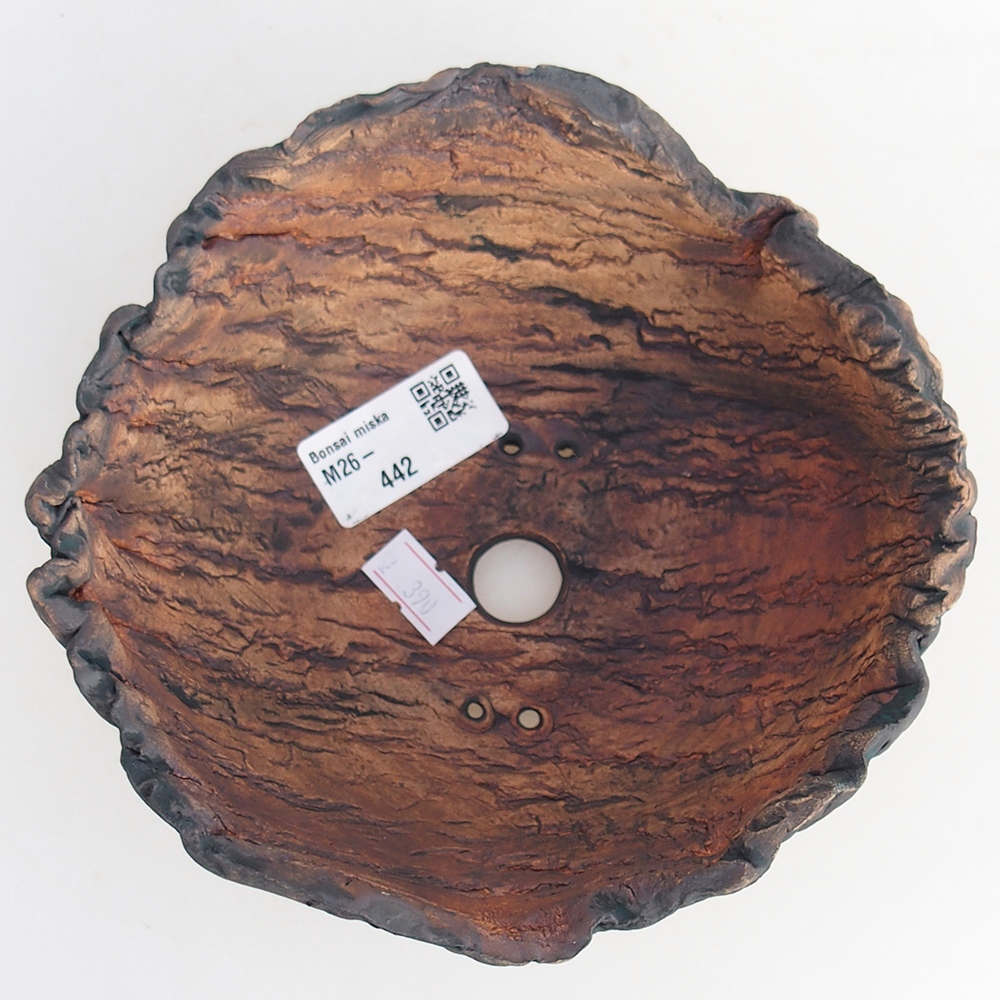 Ceramic Shell 15,5 x 15,5 x 7 cm , colour green