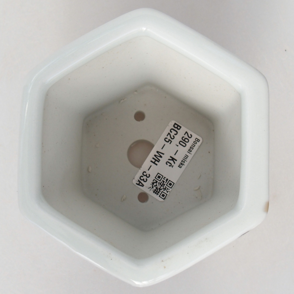 Ceramic bonsai bowl 10,5 x 9,5 x 9 cm, colour white