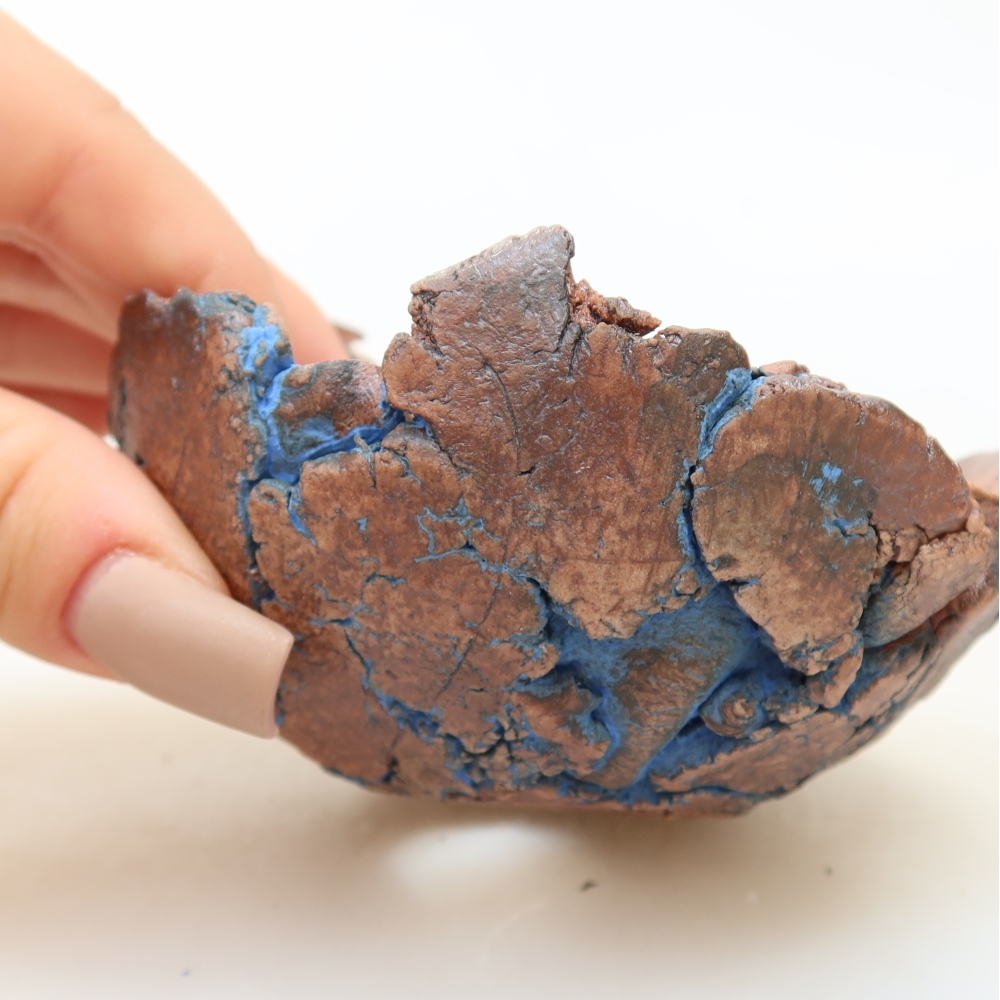 Ceramic Shell, 9 x 9 x 5 cm, blue