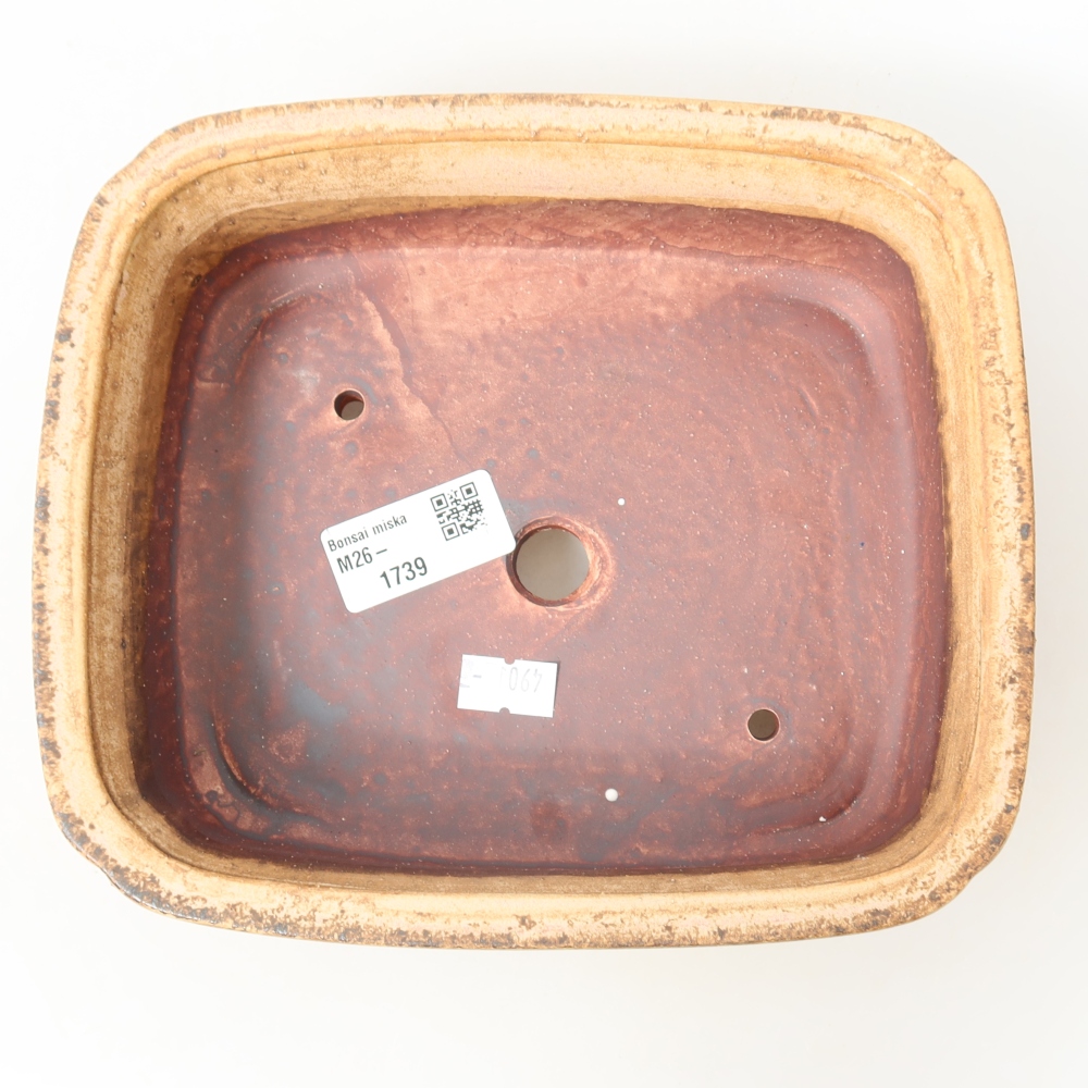 Ceramic bonsai pot, 19.5 x 17 x 6 cm, pink