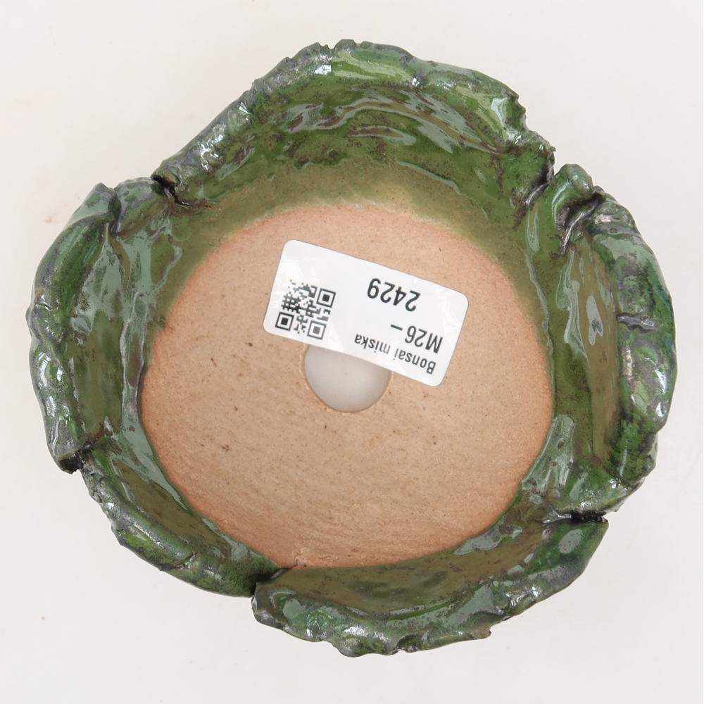 Ceramic Shell  11 x 10 x 7 cm, green