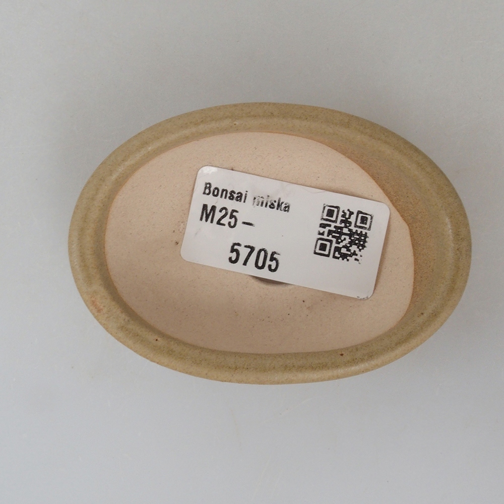 Mini bonsai bowl 7 x 5 x 2 cm, color brown
