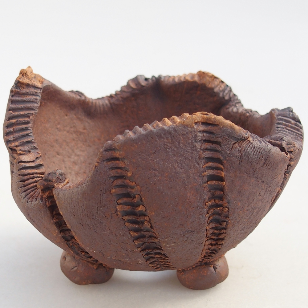 Ceramic Shell 9 x 9 x 7 cm , colour brown
