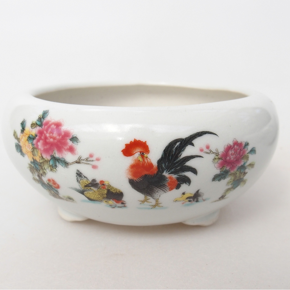Ceramic bonsai bowl 10 x 10 x 5 cm, colour white