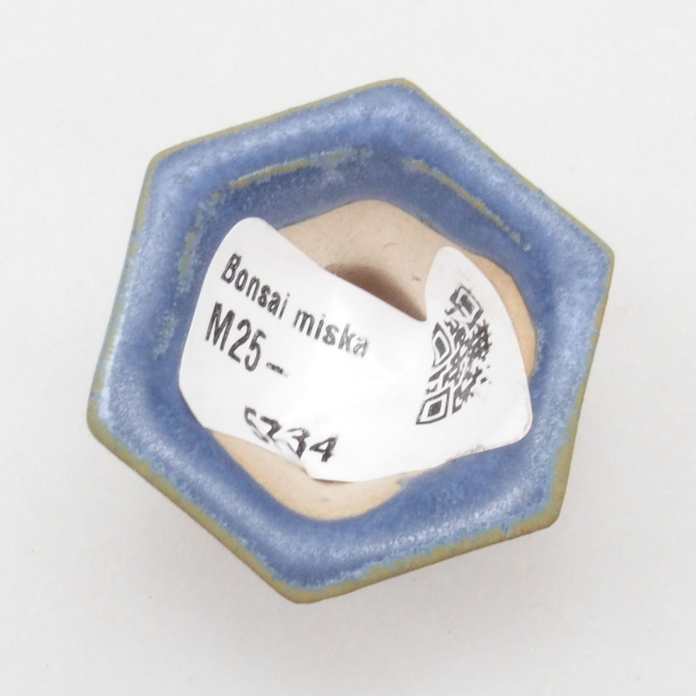 Mini bonsai bowl 4 x 3,5 x 3 cm, color blue