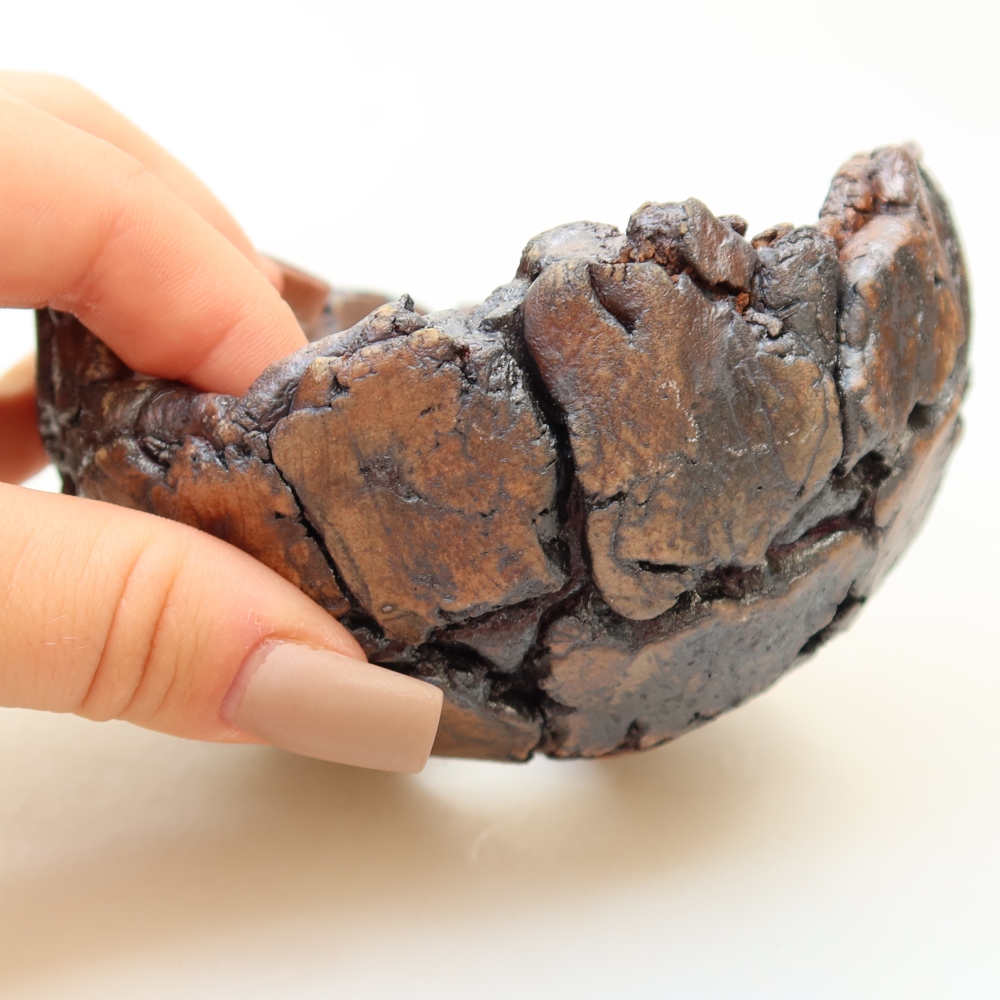 Ceramic Shell, 12 x 11 x 7 cm, brown