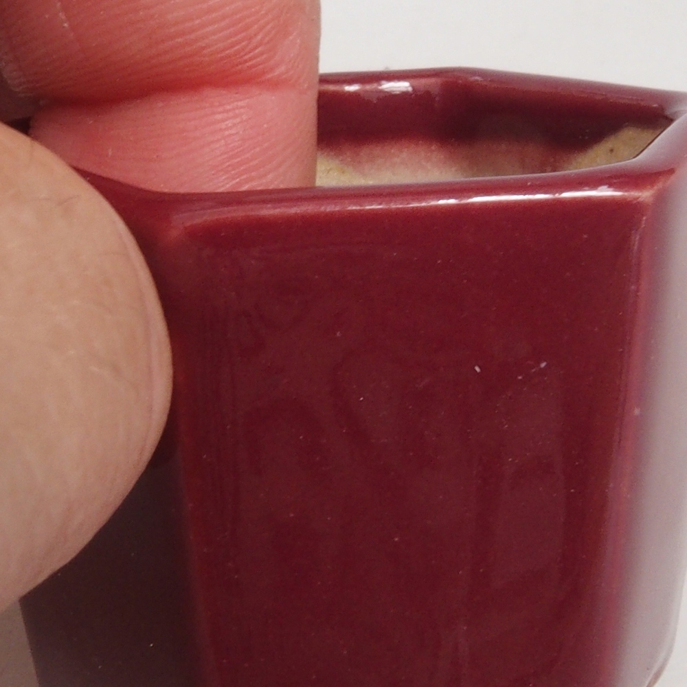 Mini bonsai bowl 4 x 4 x 3,5 cm, color burgundy