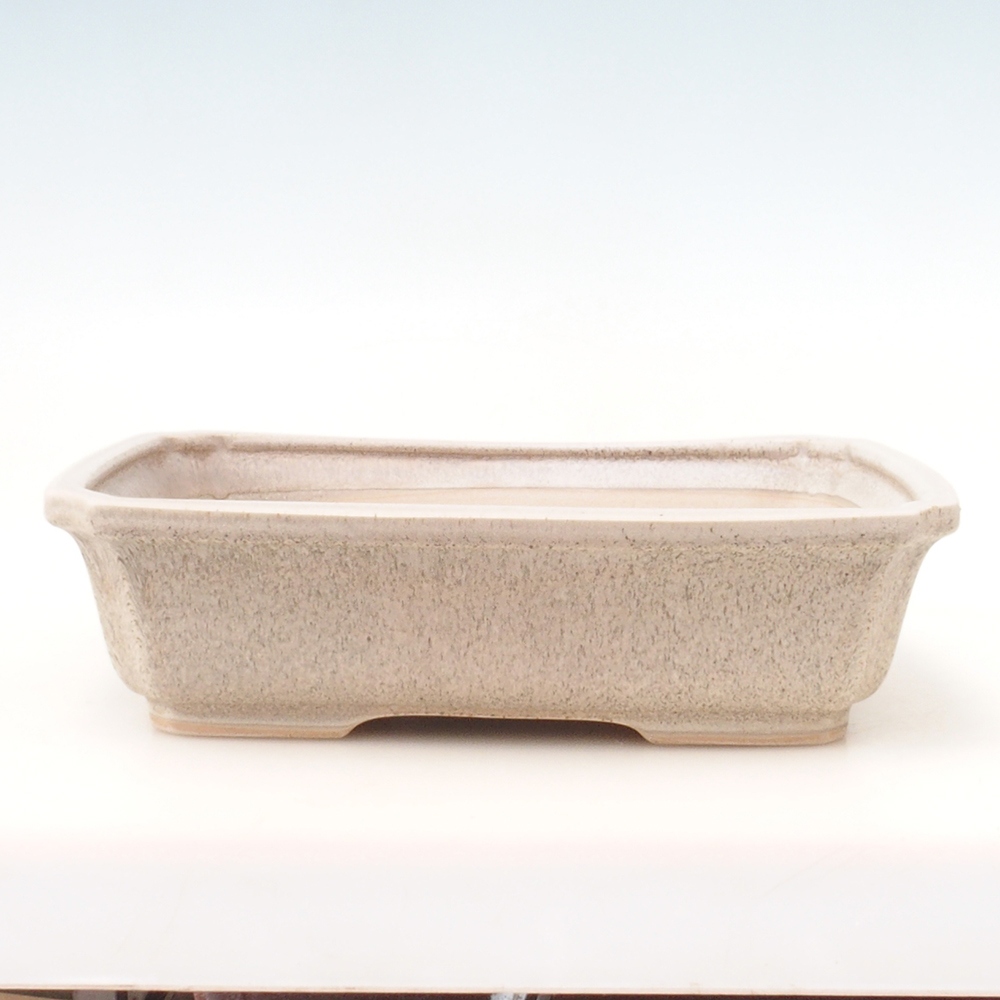 Bonsai bowl H07 - 30 x 20.5 x 8 cm. - beige
