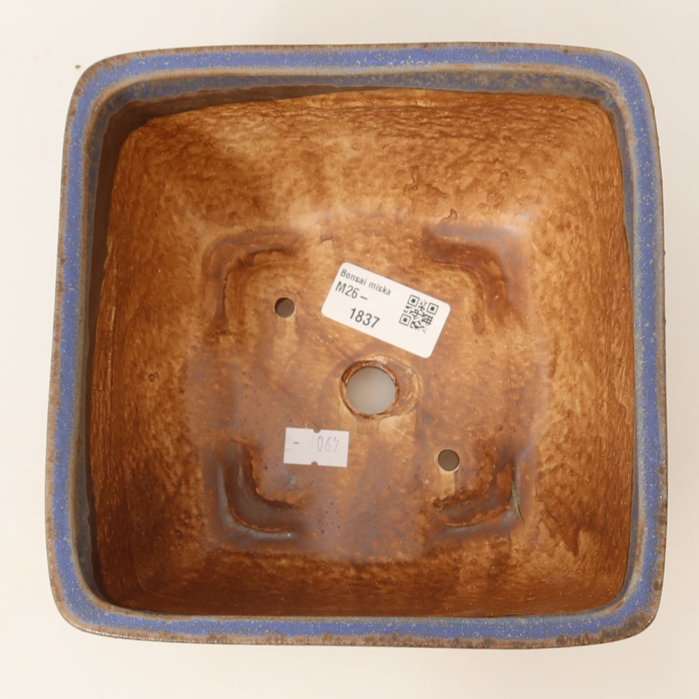 Ceramic bonsai pot, 16.5 x 16.5 x 9.5 cm, blue