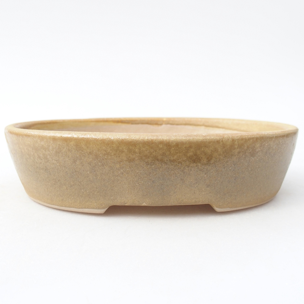 Ceramic bonsai bowl 17 x 13,5 x 4 cm, colour beige