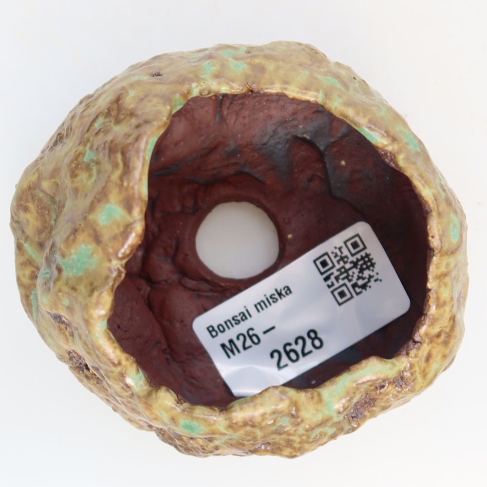Ceramic Shell  6.5 x 6.5 x 5.5 cm, green