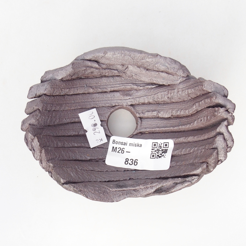 Ceramic Shell 11 x 8,5 x 6 cm , metallic colour