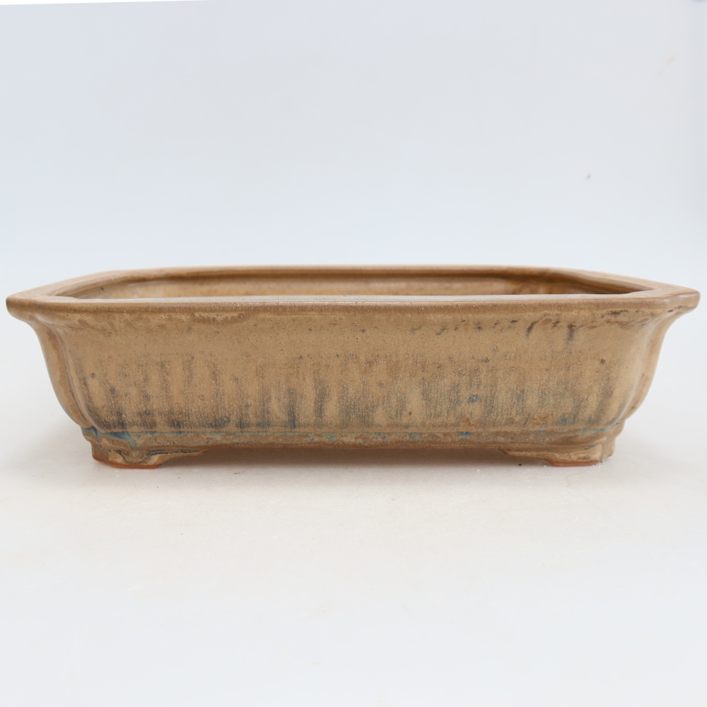 Ceramic bonsai pot, 27.5 x 21.5 x 7 cm, beige