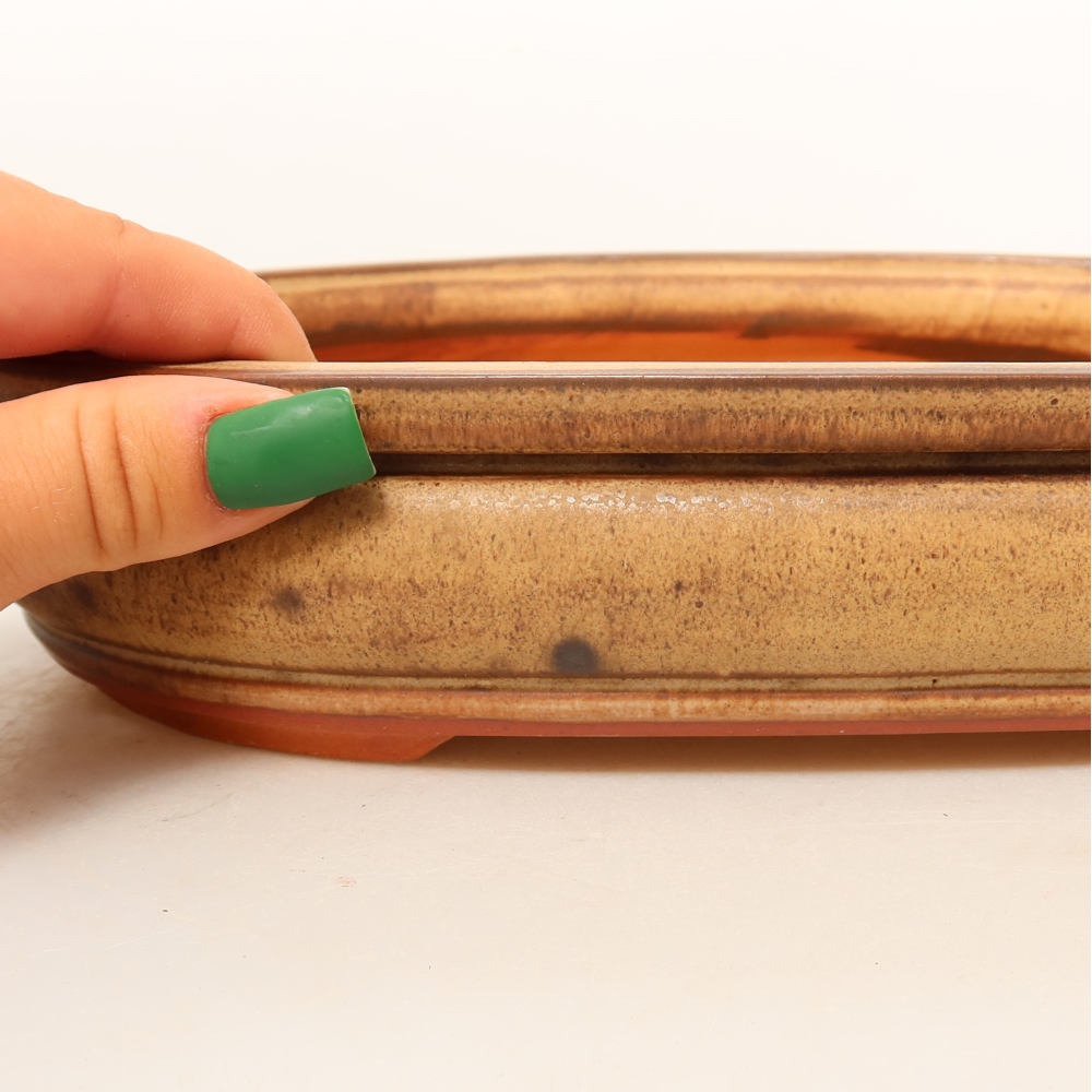 Ceramic Shell  26 x 18.5 x 5 cm, brown