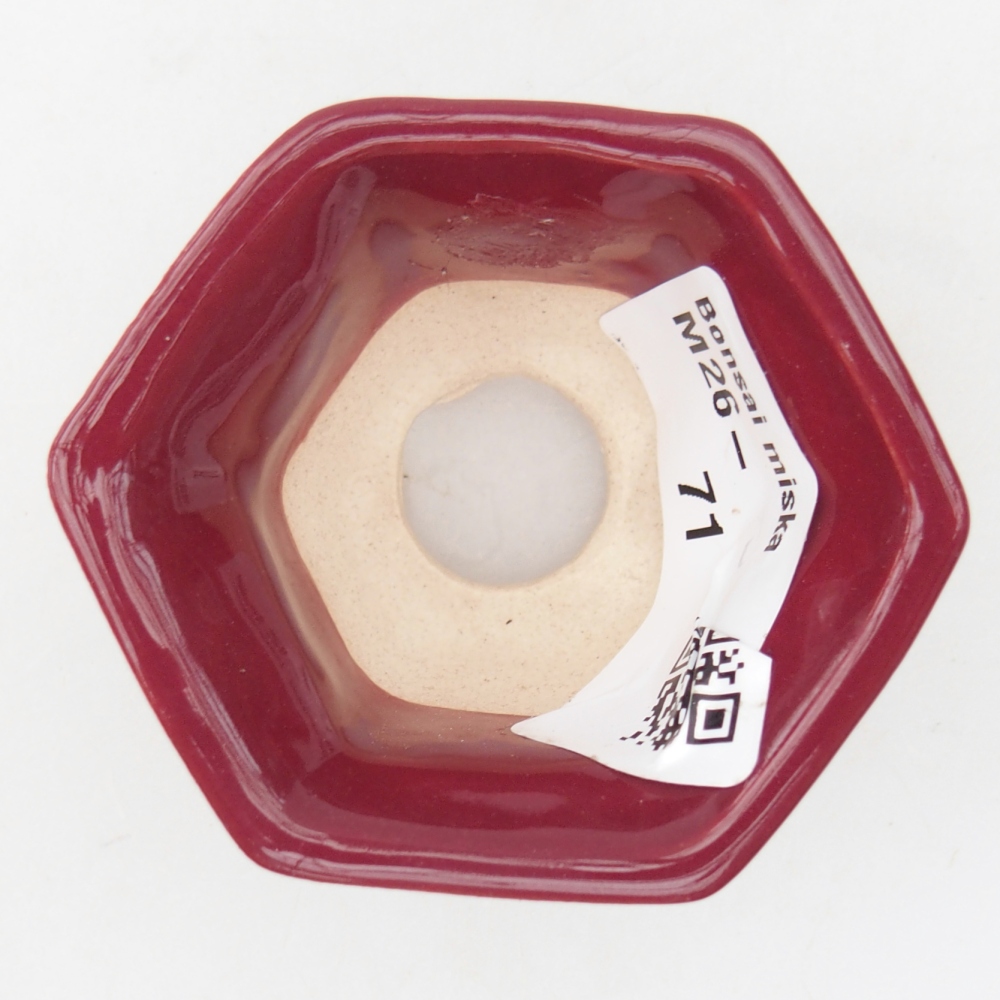 Mini bonsai bowl 5,5 x 5 x 3 cm, burgundy